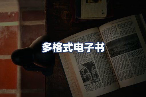 多格式电子书